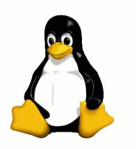 Linux Penguin